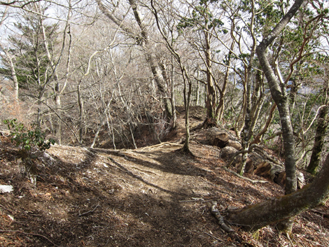 20200110hike (236)